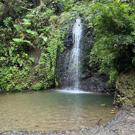 Le Ketmie Nature Et Decouverte Fond-Saint-Denis Bagian luar foto