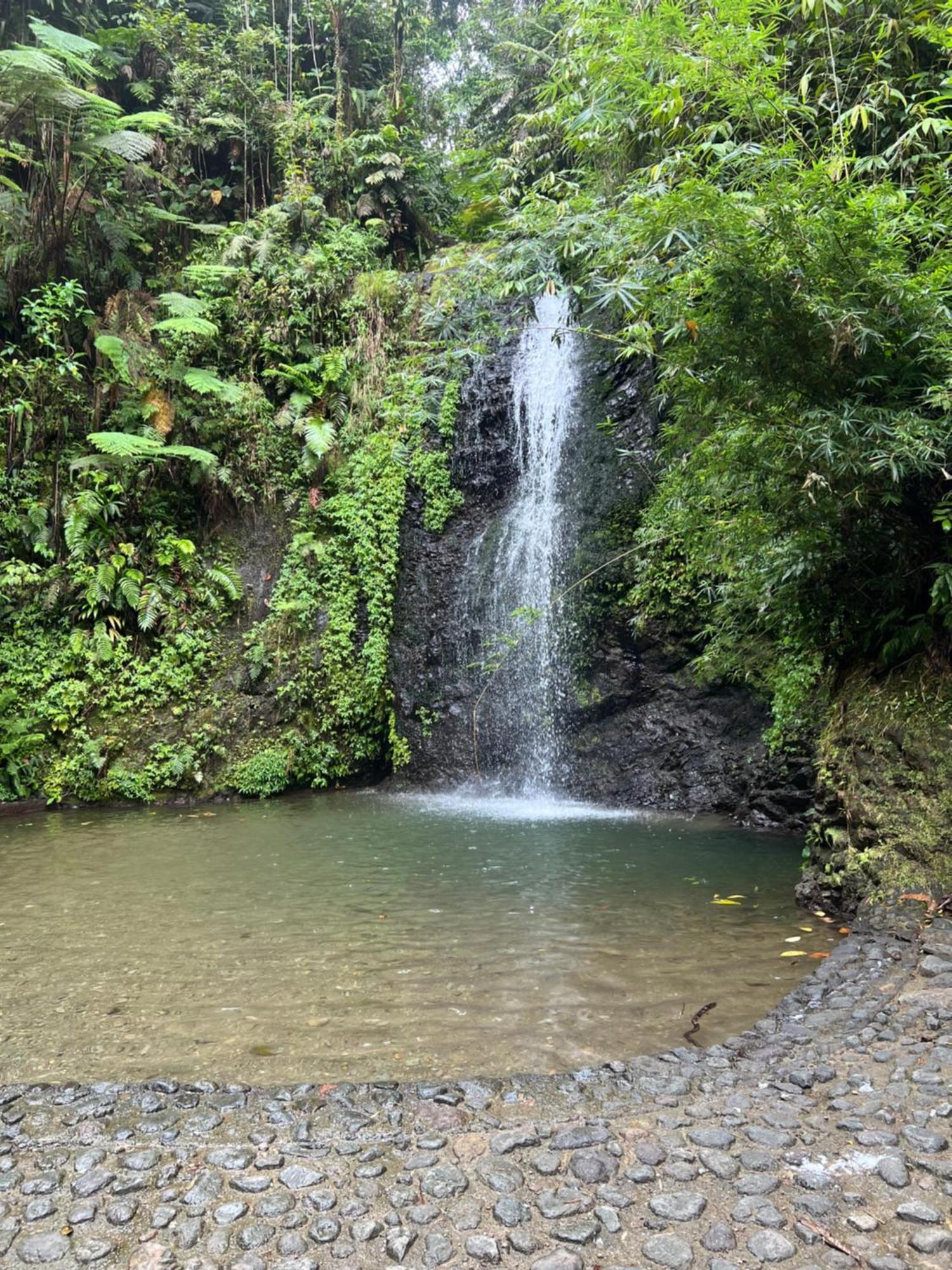 Le Ketmie Nature Et Decouverte Fond-Saint-Denis Bagian luar foto