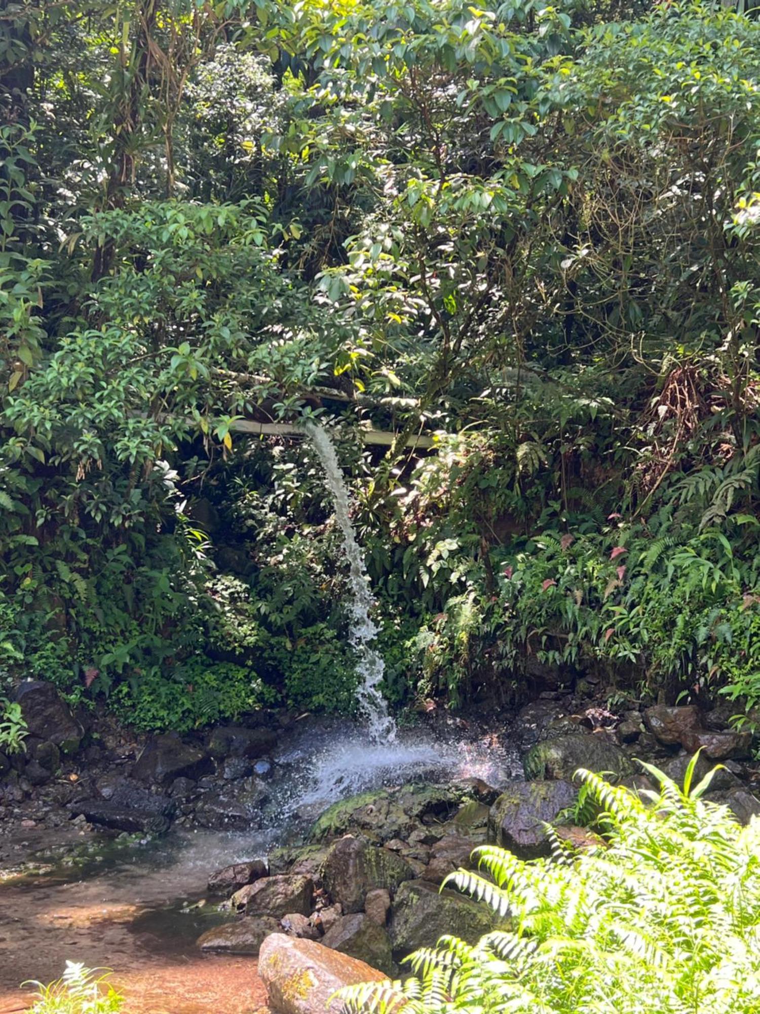 Le Ketmie Nature Et Decouverte Fond-Saint-Denis Bagian luar foto