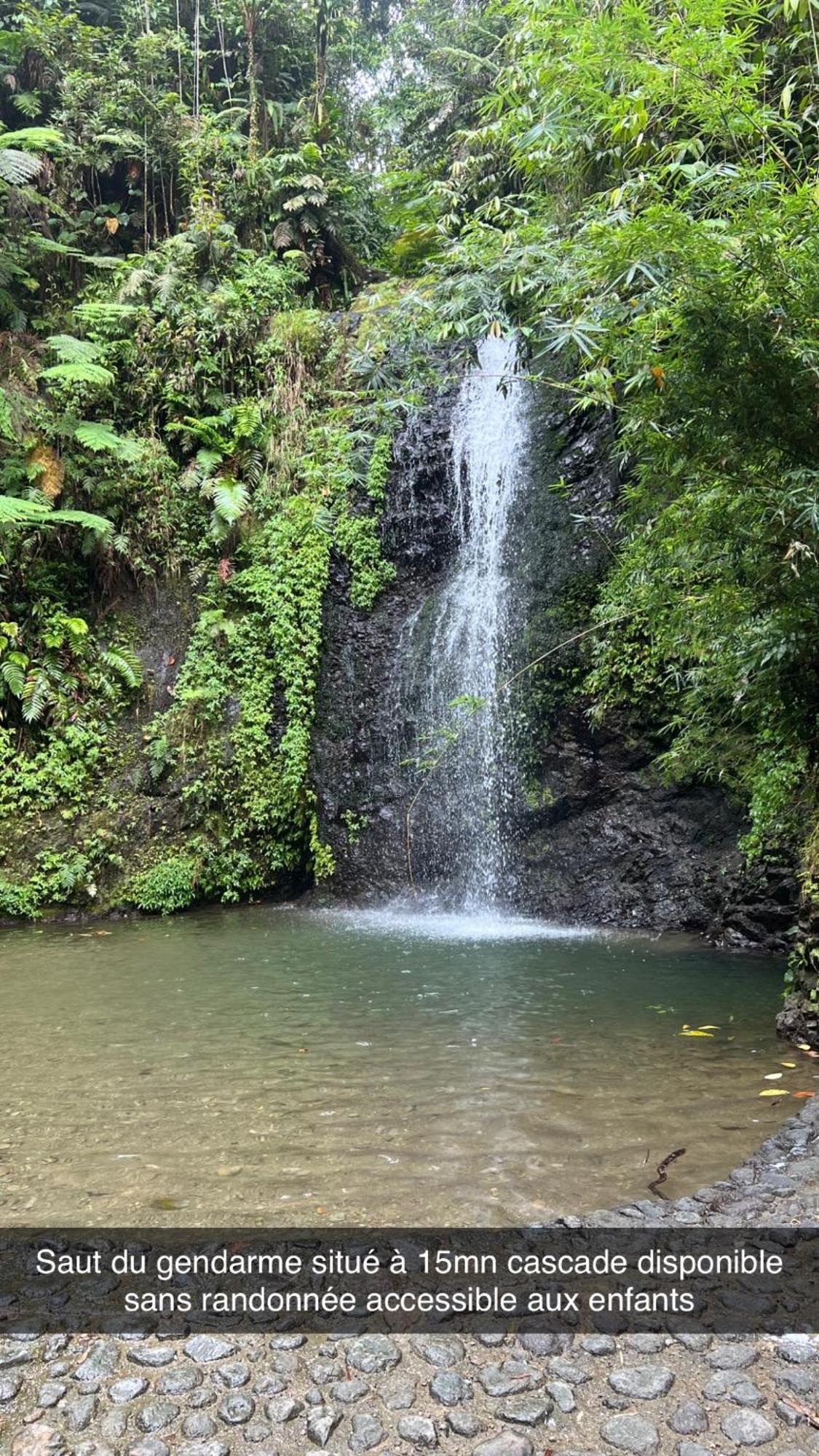 Le Ketmie Nature Et Decouverte Fond-Saint-Denis Bagian luar foto