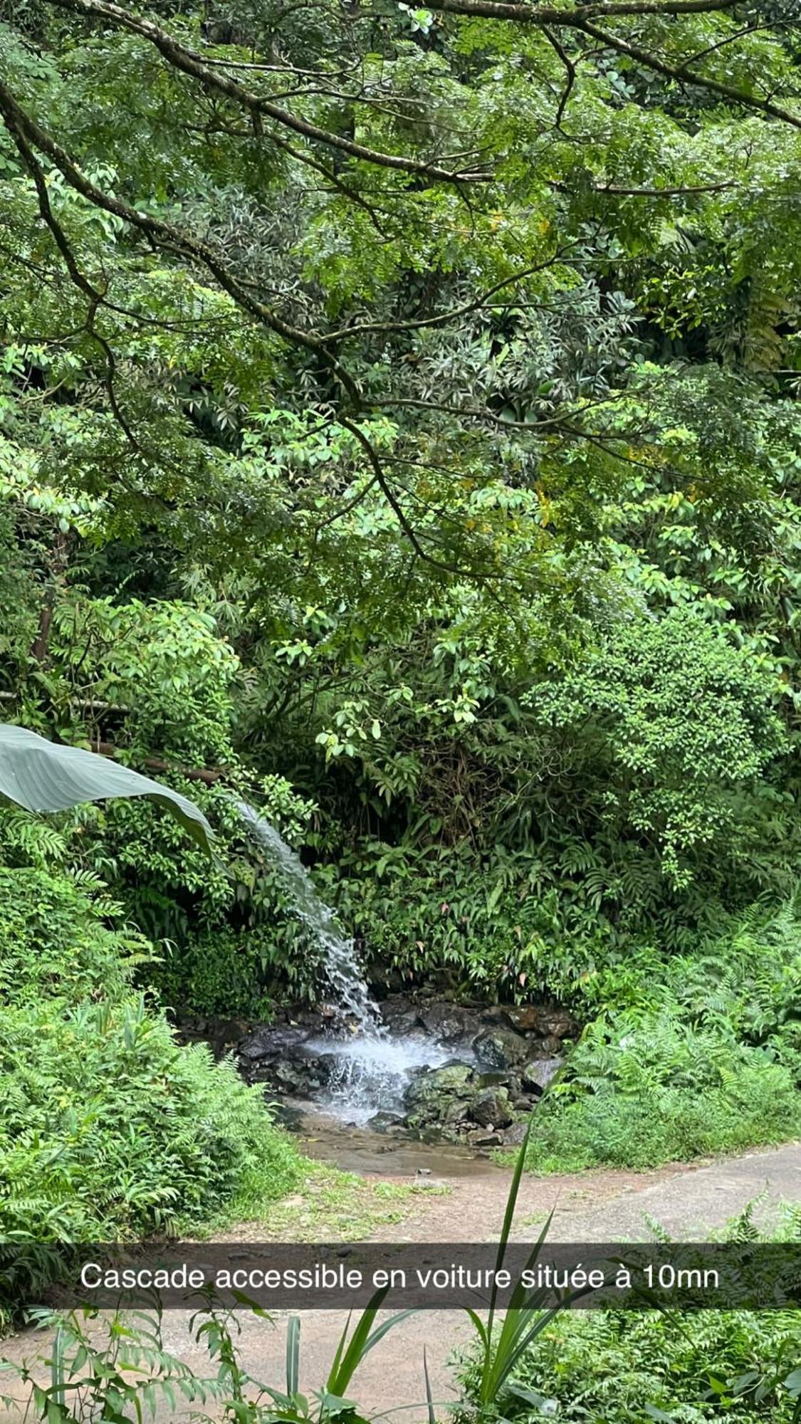 Le Ketmie Nature Et Decouverte Fond-Saint-Denis Bagian luar foto